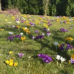 Daire Am Feldrain - Gornau Im Erzgebirge