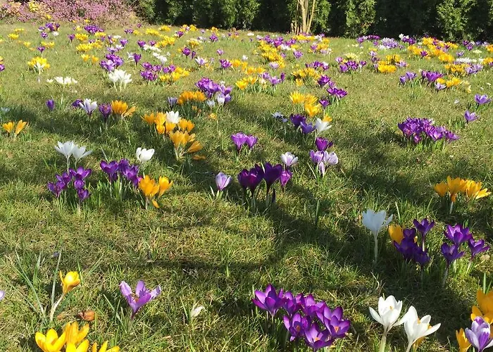 Apartment Am Feldrain - Gornau Im Erzgebirge